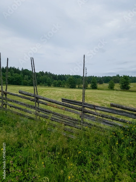 Obraz landscape with fence