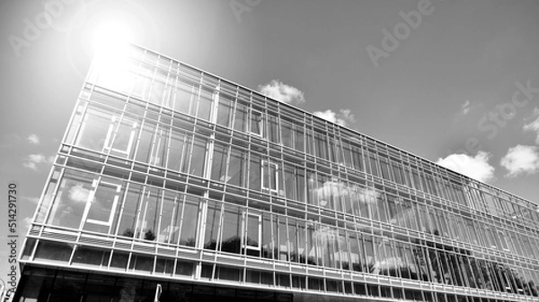 Fototapeta Modern office building with glass facade on a clear sky background. Transparent glass wall of office building. Bright sunny day with sunbeams on the sky.  Black and white.