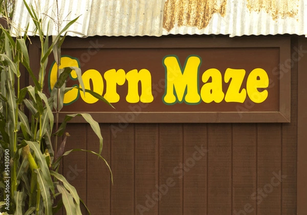 Obraz Corn Maze