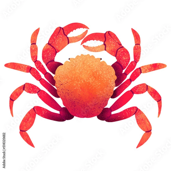 Fototapeta drawing digital crab live red design trends with gradients
