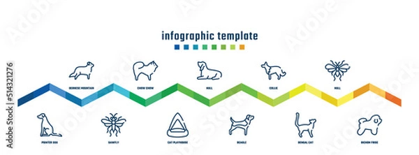 Obraz concept infographic design template. included bernese mountain, pointer dog, chow chow, sawfly, null, cat playhouse, collie, beagle, null, bichon frise icons.