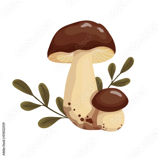 Fototapeta Pair of boletus mushrooms with forest grass.Cartoon vector graphic.