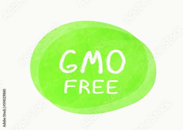 Obraz Vector illustration of a green hand drawn food label with text - gmo free isolated on a white background.