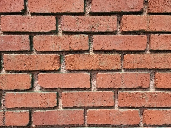 Fototapeta Brick Wall Texture 