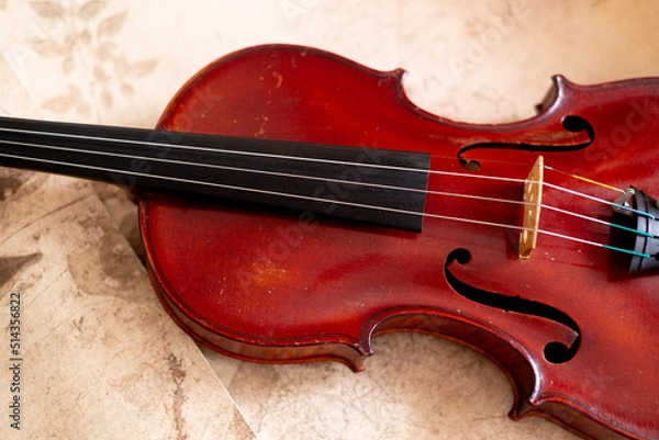 Obraz violin
