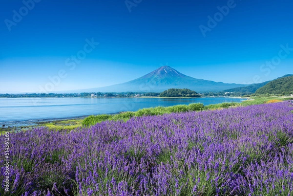 Fototapeta 富士山　河口湖