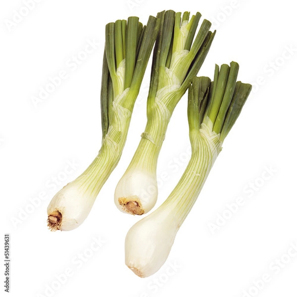 Obraz Jumbo salad onions.