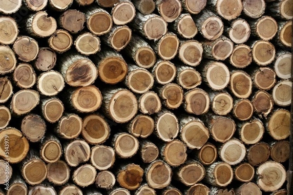 Fototapeta stack of dried firewood cut flush at the ends