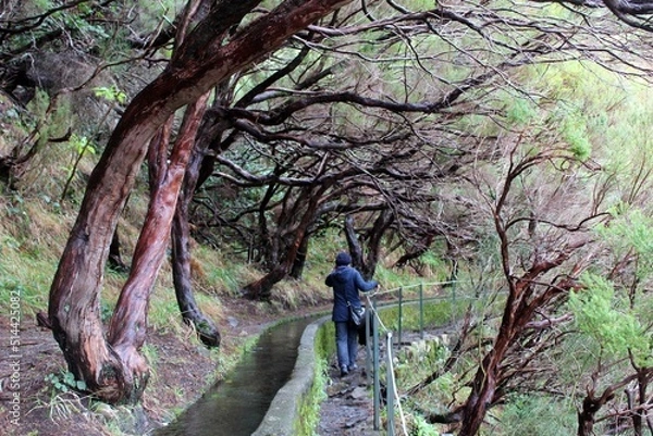 Obraz person in the forest