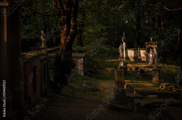 Obraz cmentarz, cementary