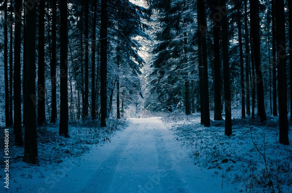 Obraz Droga, zima, winter, way, road