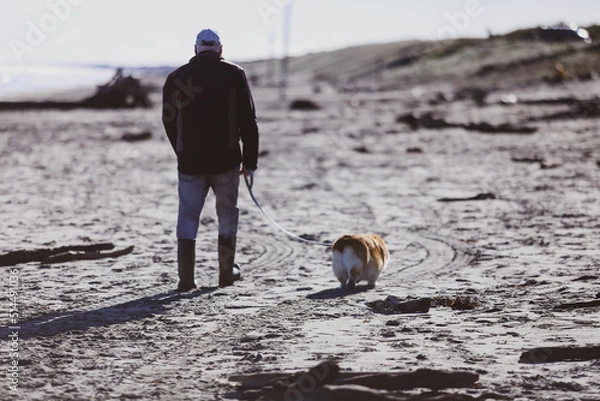 Obraz walking in the desert