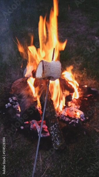 Obraz fire in the grill