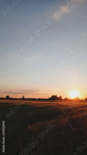 Obraz sunset in the desert