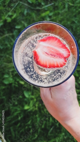 Obraz melon in a hand