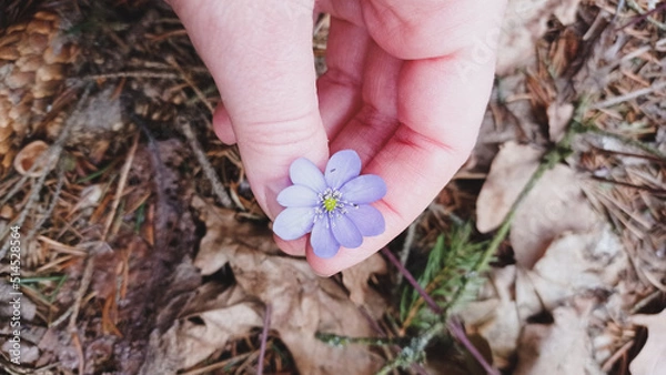 Obraz feet in the garden