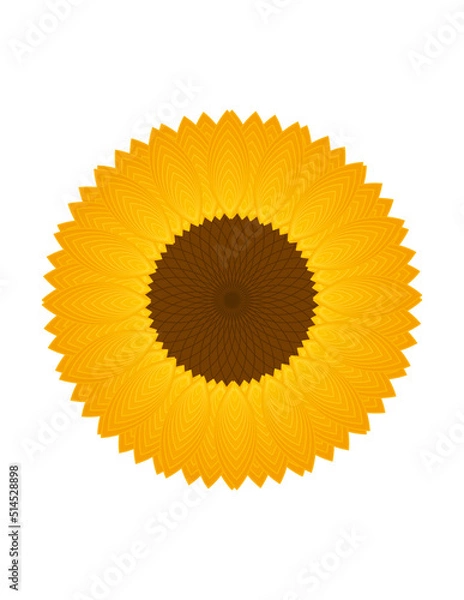 Fototapeta Girasol 
