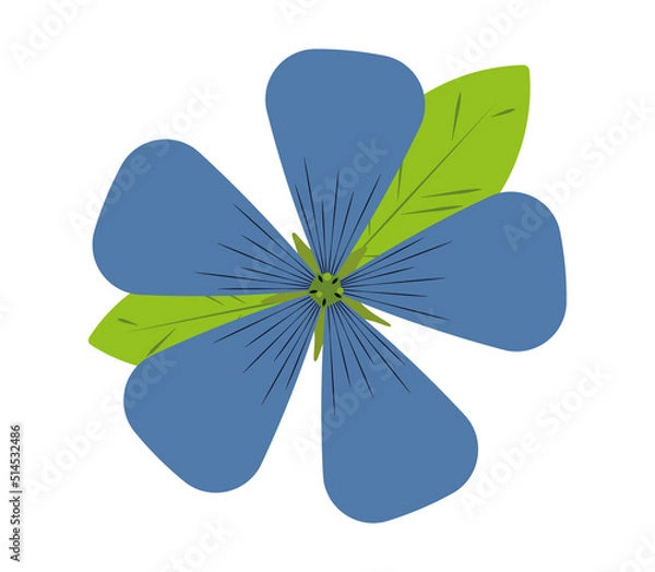 Fototapeta Flor azul