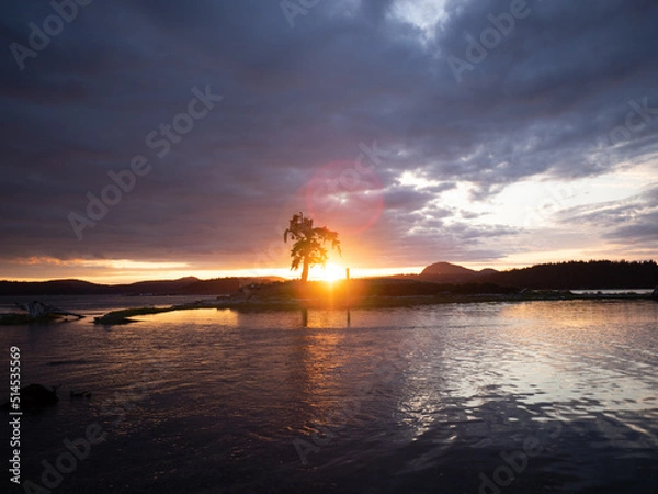 Obraz OLYMPUS DIGITAL CAMERA