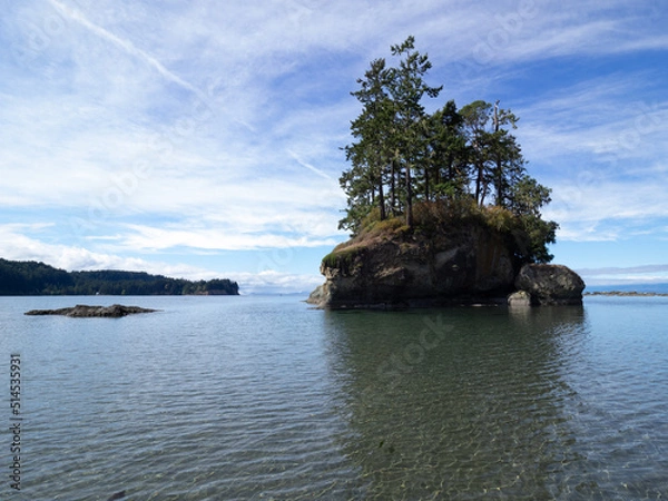 Obraz OLYMPUS DIGITAL CAMERA