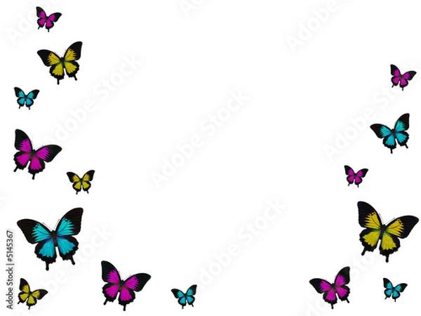 Obraz Butterfly Arrangment
