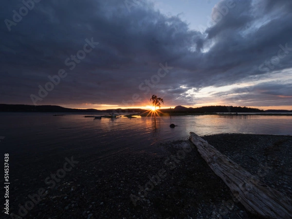 Obraz Pointing the Way 