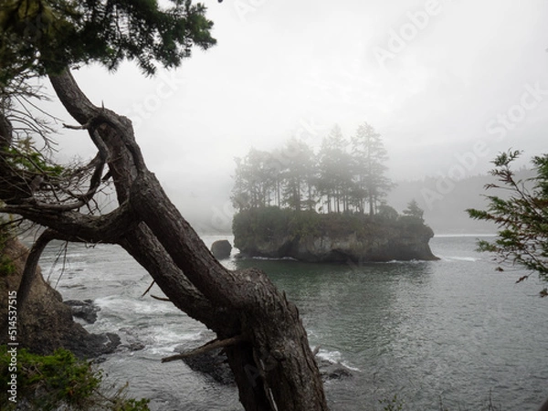 Obraz OLYMPUS DIGITAL CAMERA