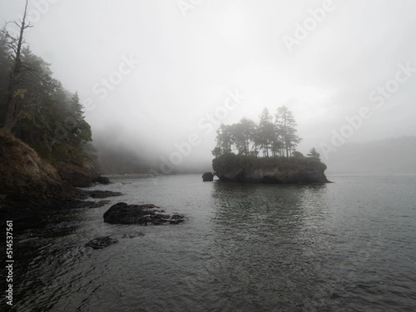 Obraz OLYMPUS DIGITAL CAMERA