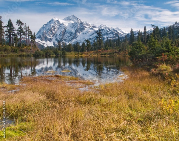 Obraz OLYMPUS DIGITAL CAMERA