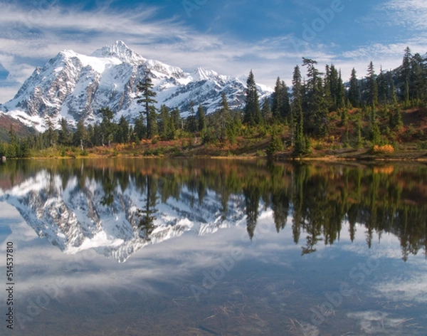 Obraz OLYMPUS DIGITAL CAMERA