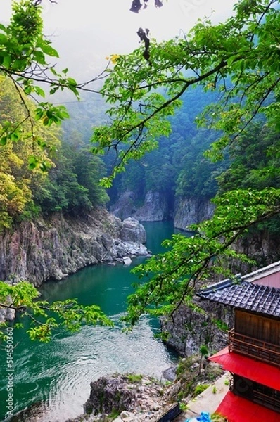 Fototapeta 瀞峡の夏