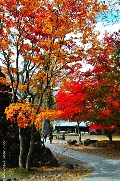 Fototapeta 秋の一日