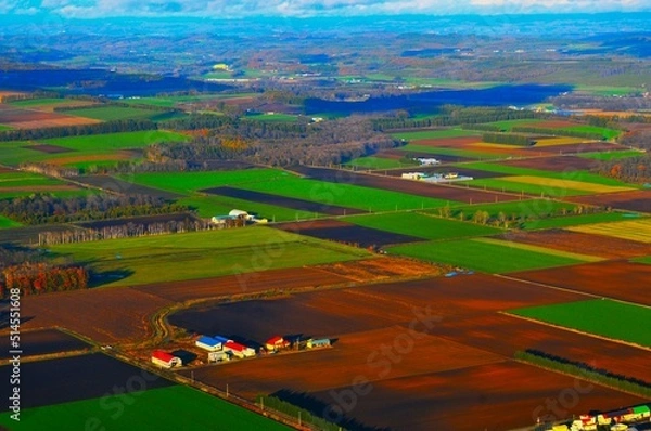 Fototapeta 十勝平野の秋