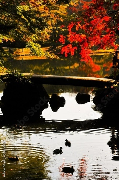 Fototapeta 秋の盛り