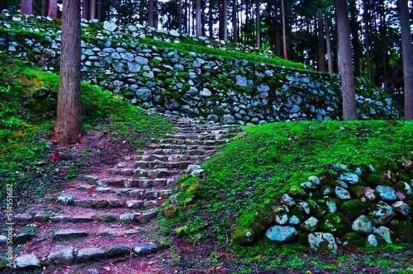 Fototapeta 古城の道