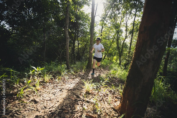 Fototapeta Trail runner running in summer forest trail