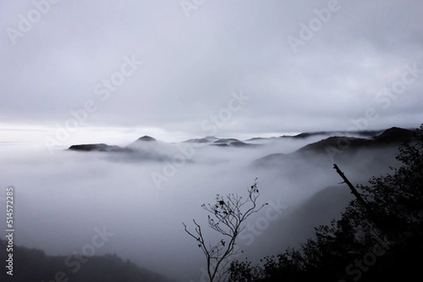 Fototapeta 水墨画のような雲海