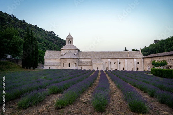 Fototapeta Abbey of Senanque and blooming rows of lavender flowers at sunrise. Gordes, Luberon, Vaucluse, Provence, France, Europe.