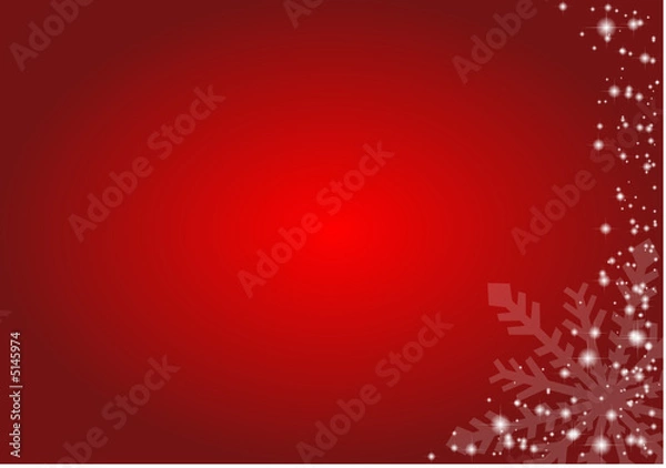 Obraz Christmas decoration