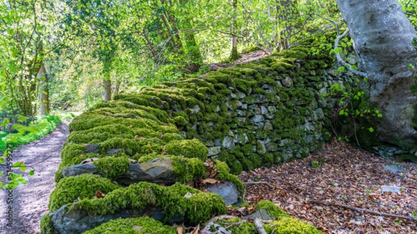 Obraz Lake District, Cumbria