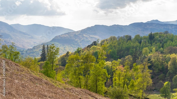 Obraz Lake District, Cumbria