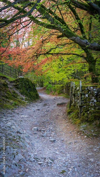 Obraz Lake District, Cumbria