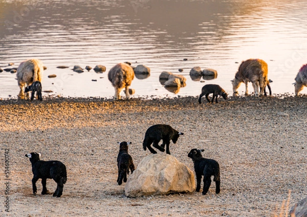 Obraz Lake District, Cumbria