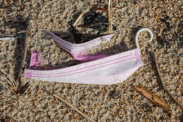 Obraz Alien Object on the Beach 13