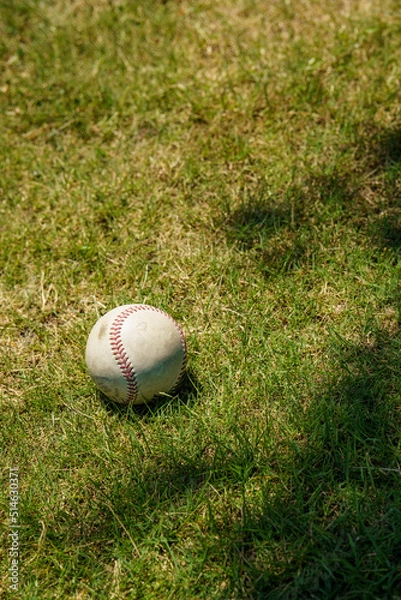 Fototapeta 球場内に転がる硬式野球ボール