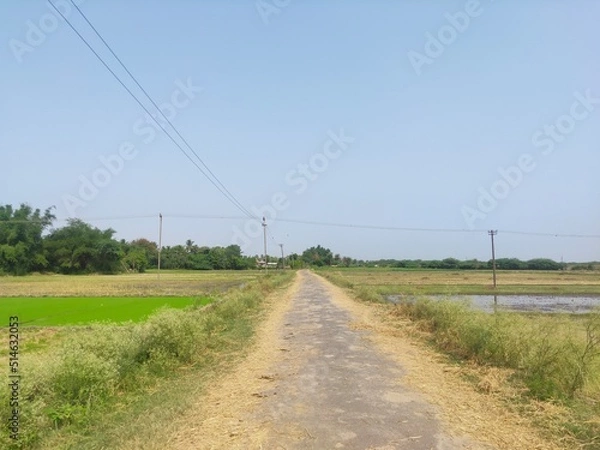 Obraz road in the countryside