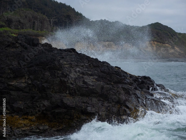 Obraz OLYMPUS DIGITAL CAMERA