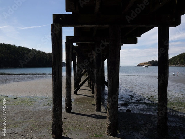 Obraz OLYMPUS DIGITAL CAMERA