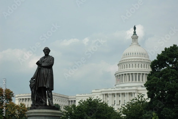 Fototapeta The U.S. Capitol Building