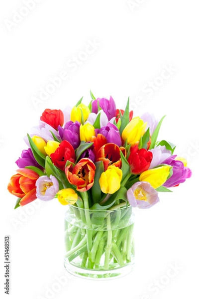 Obraz Tulpenstrauss